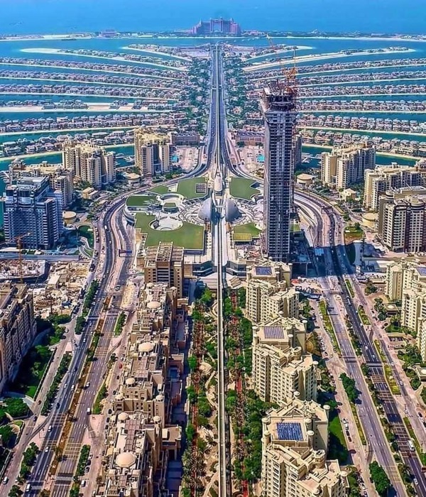 Prolex Realty