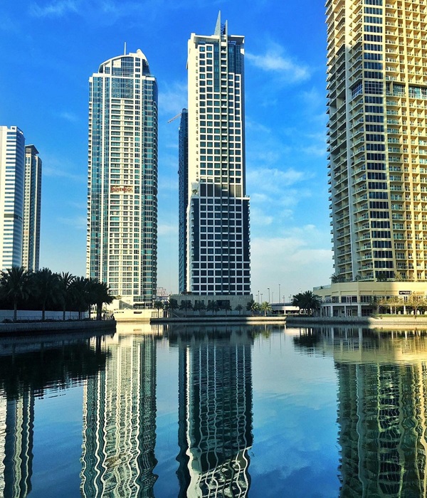 Prolex Realty